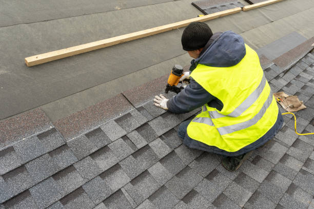 Best Gutter Replacement  in Beaverton, MI
