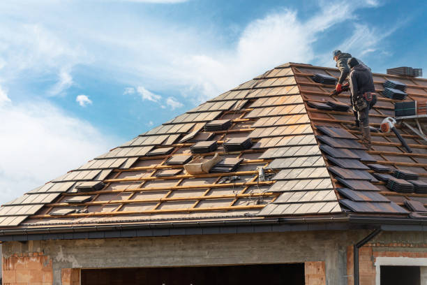 Best Wood Shake Roofing  in Beaverton, MI